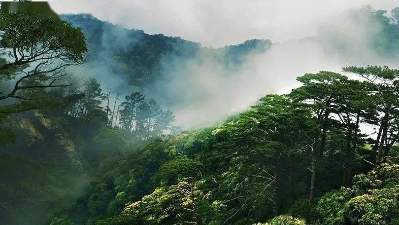 公众参与 | 十六年，就为守护人民的“大水缸”